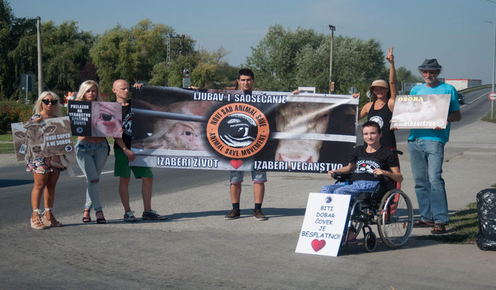 FOTO: "Save Novi Sad" na Rumenačkom putu ukazuje na nehuman tretman životinja