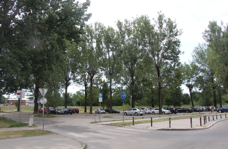 Trećina stabala na parkingu kod Štranda će biti potkresano - predstavljaju opasnost