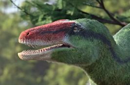 VIDEO: Zaboravljeni fosil otkrio novu vrstu dinosaurusa sa ogromnim kandžama