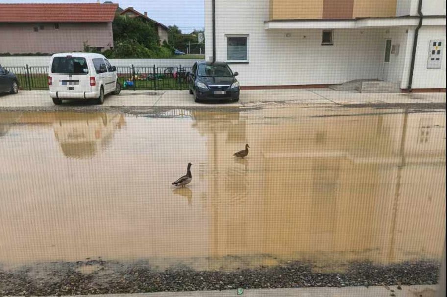 FOTO Investitorska "briga": Neuređeni deo ulice u privatnom vlasništvu, grad ne može da je sredi