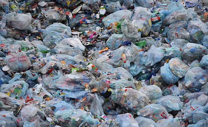 Plastika za jednokratnu upotrebu biće zabranjena da bi se zaštitilo Crveno more