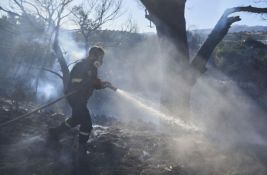 Konzulka u Solunu: Situacija sa požarima stabilizovana na Tasosu, turisti iz Srbije bezbedni