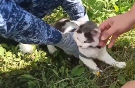 VIDEO: Mačku koristili za šverc droge u ruski zatvor