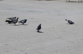 Sutra malo toplije u Novom Sadu