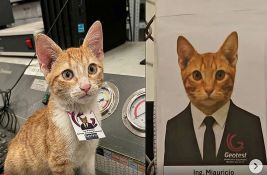 FOTO: Mačak udomljen, pa postao 