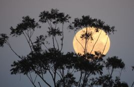 U sredu se očekuje najveći supermesec u ovoj godini