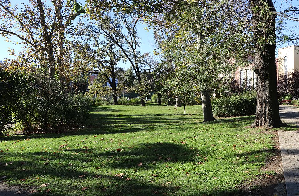 I sutra sunčano u Novom Sadu