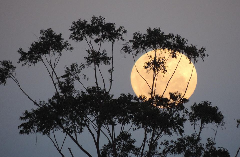 U sredu se očekuje najveći supermesec u ovoj godini