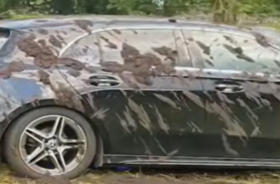 VIDEO: Farmer zasuo stajskim đubrivom nepropisno parkirane automobile bahatih turista