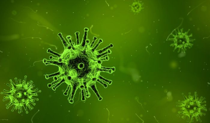 U Francuskoj otkriven novi virus