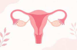 Jajnici dobijaju izuzetno važnu drugu ulogu nakon menopauze