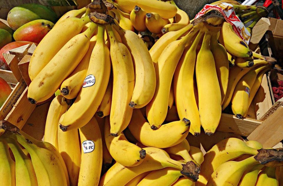 Grčka uhapsila 10 osumnjičenih da švercuju kokain u pošiljkama banana 