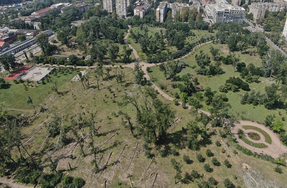 FOTO, VIDEO: Limanski park neprepoznatljiv nakon nevremena - delovi sada više liče na livadu