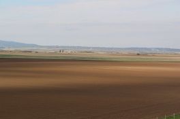 Najskuplje oranice u Sirigu i na Čeneju
