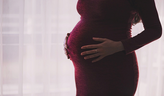 Tri novosadske firme na listi poslodavaca koji krše prava trudnica i porodilja
