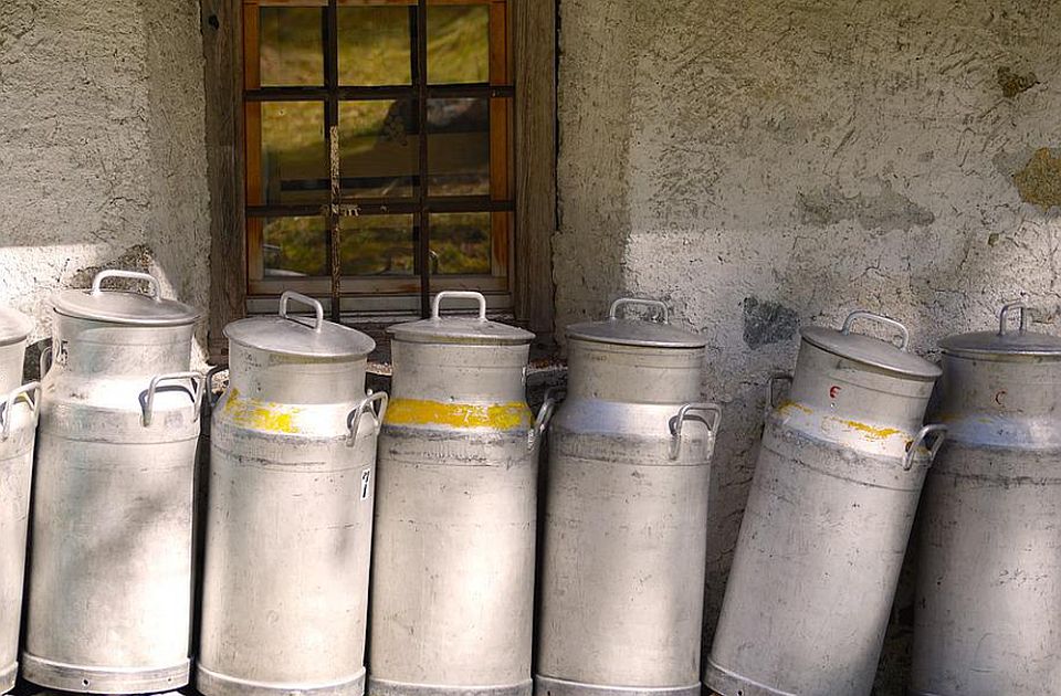 Nova mera: Konditorima za otkup domaćeg mleka u prahu 710 dinara po kilogramu