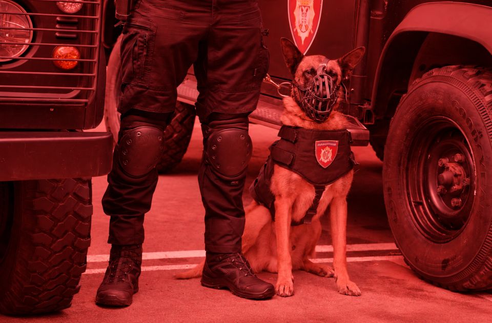 U Srbiji na snazi crveni stepen opasnosti od terorističkog napada: Stručnjaci o tome koliko je to zaista nužno