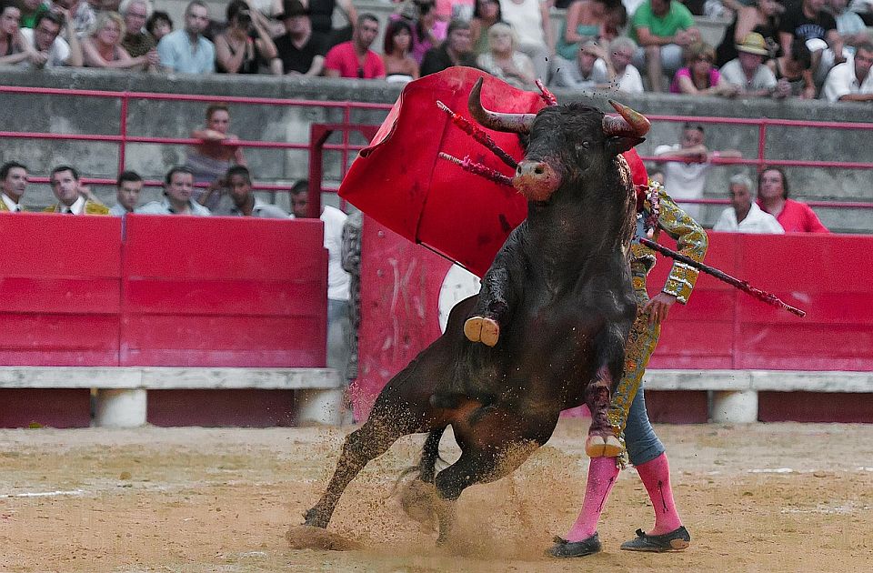 Toreador teško povređen tokom koride u Sevilji