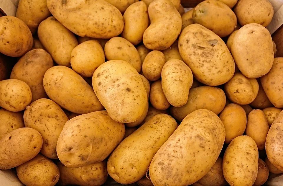 Nađena bakterija: U BiH zabranjen uvoz 27 tona krompira iz Egipta