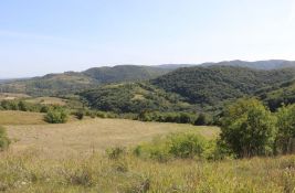 Vojvodina najmanje šumovita regija u Evropi: Pod šumom 150.000 hektara, nedostaje još toliko