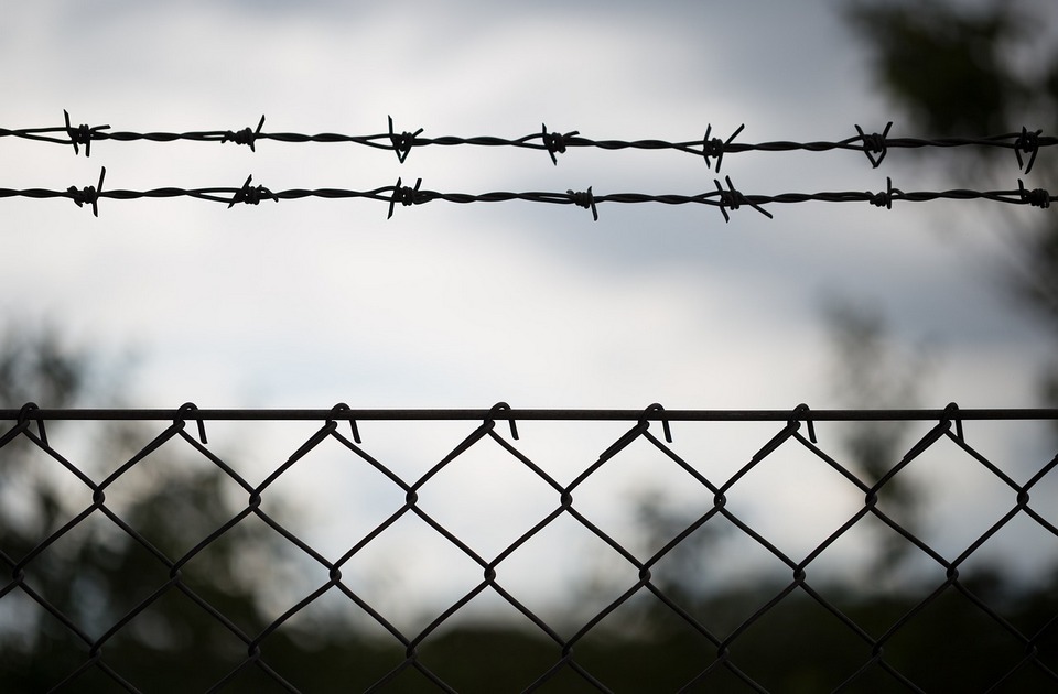 Vozač iz Srbije uhapšen u Mađarskoj zbog krijumčarenja migranata