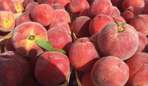 Rusija bi mogla da ograniči uvoz voća iz Srbije