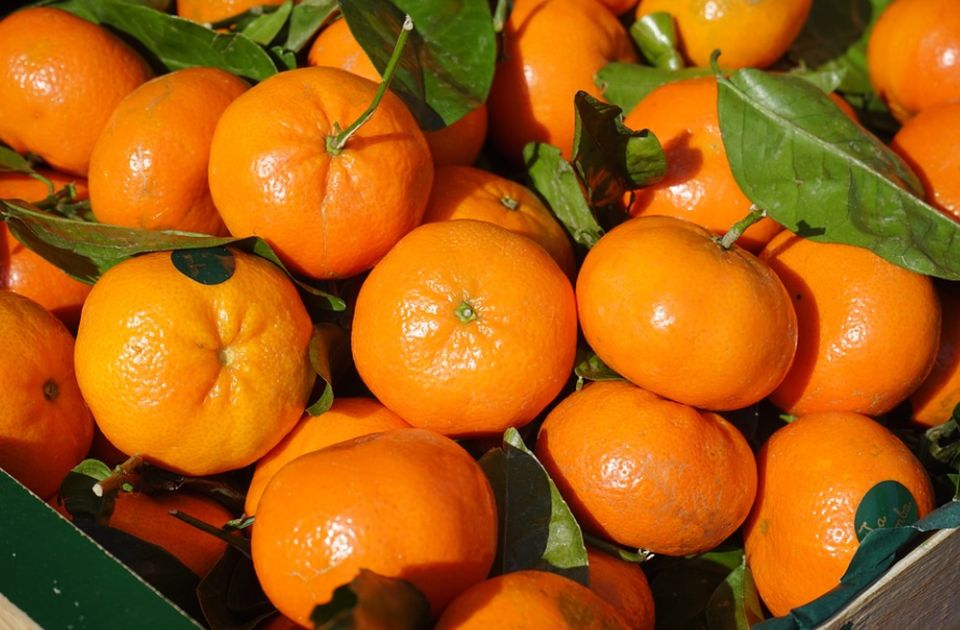 Mandarine - poželjno jesti ih svaki dan