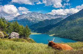 Ambasador Trifunović: Srbija i Švajcarska sličnije nego što se na prvi pogled čini