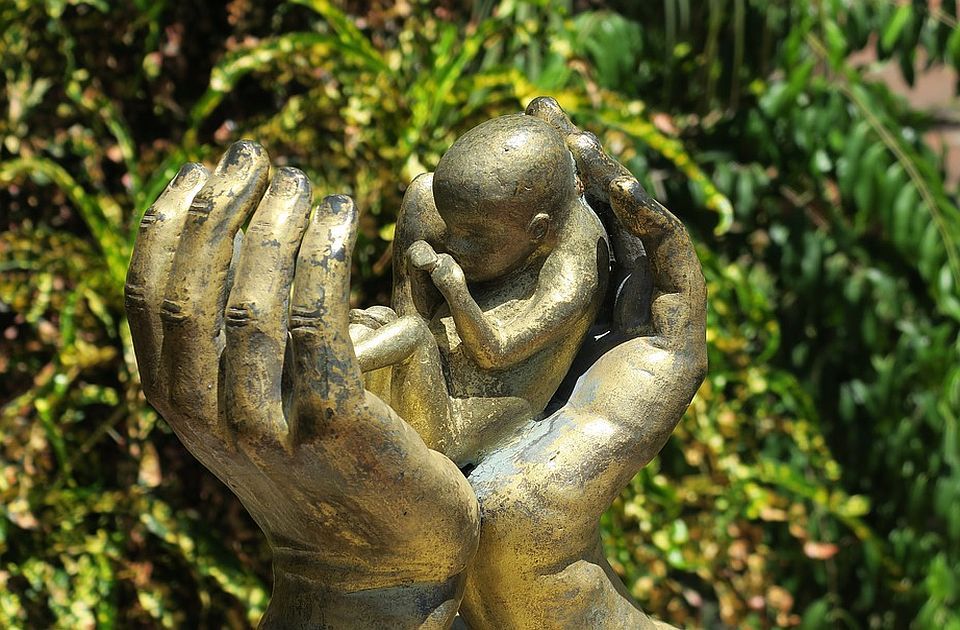 Florida zabranila abortus posle 15. nedelje trudnoće i u slučaju silovanja