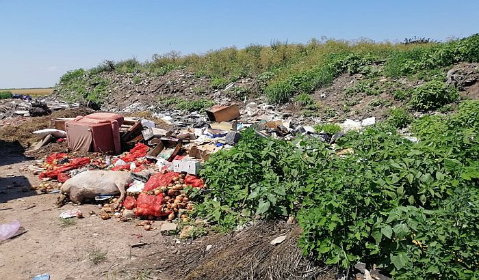 FOTO: Na divljoj deponiji u Bačkom Dobrom Polju opasan otpad i leševi životinja