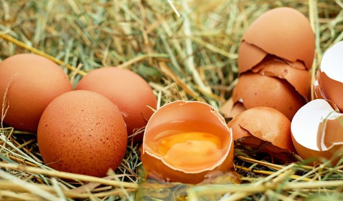 Povukli 73.000 zaraženih jaja iz Holandije