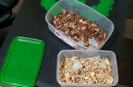 FOTO: Dvojac u Bečeju gajio psihoaktivne pečurke u dve laboratorije, a imali i drugu drogu