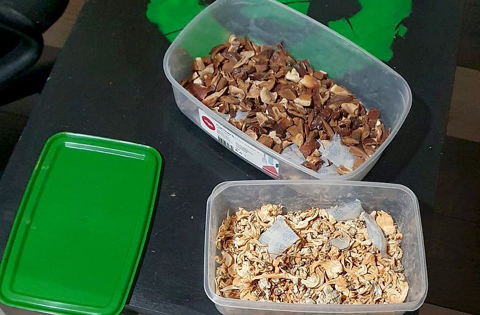 FOTO: Dvojac u Bečeju gajio psihoaktivne pečurke u dve laboratorije, a imali i drugu drogu