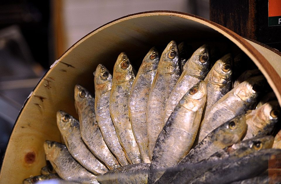 Kako da napravite umak od sardina - pročitajte recept
