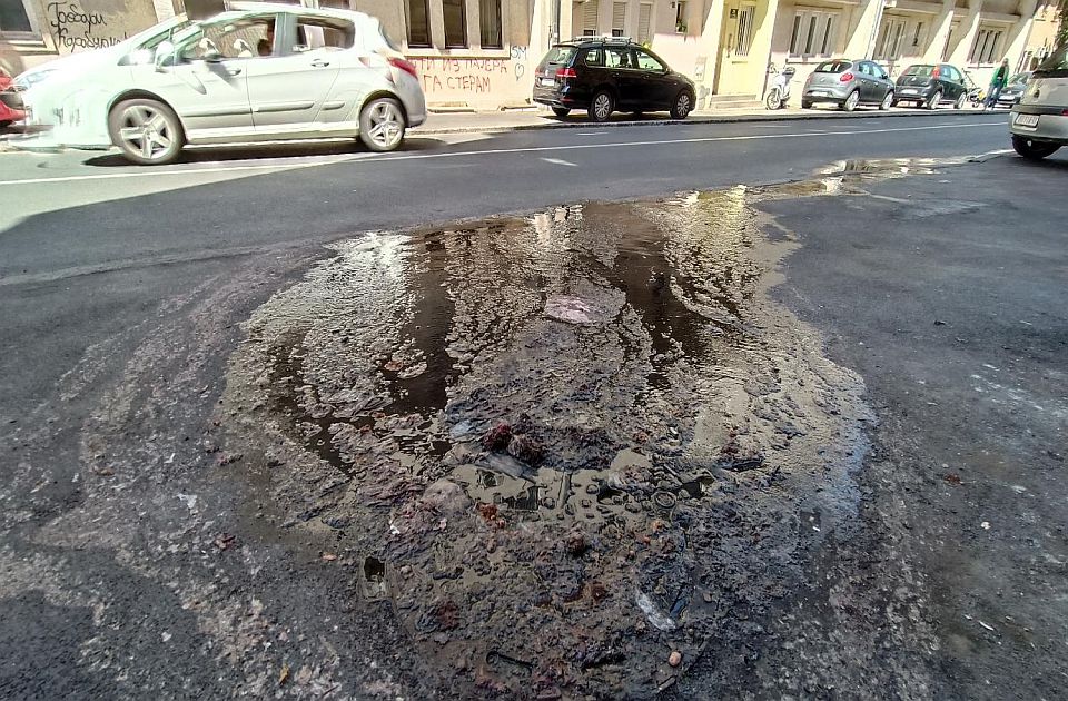 FOTO: Izlila se fekalna kanalizacija na Karaburmi, na ulici i mrtav pacov 