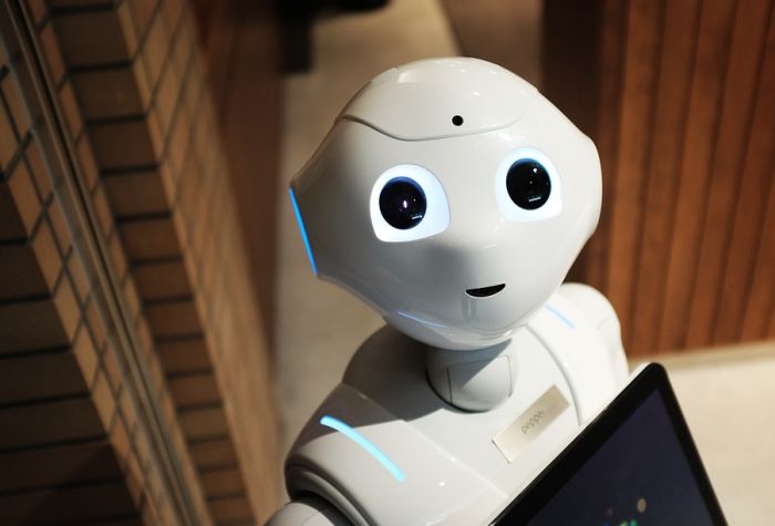 Zanimanje budućnosti - dadilja za robote