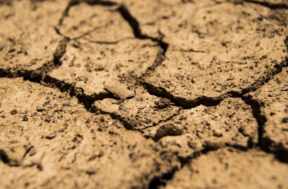 Zbog suše poljoprivrednici očekuju pomoć države Zbog suše poljoprivrednici očekuju pomoć države