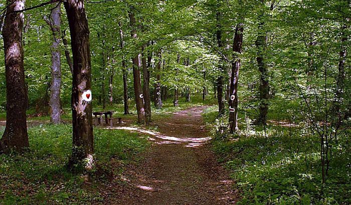 Fruškogorski MTB Maraton 30. aprila