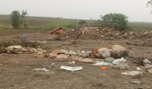 FOTO: Nakon sanacije, animalni otpad ponovo na putu kraj Ratkova