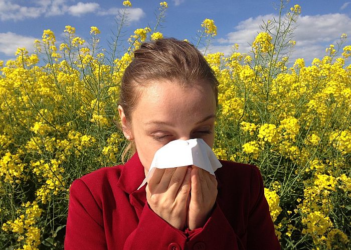 Razlike sezonskih alergija i infekcija sličnih gripu