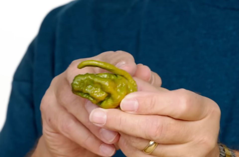 VIDEO: Najljuća papričica na svetu je toliko ljuta da je možete kupiti samo na jednom mestu