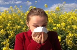 U vazduhu prisutno 12 vrsta polena drveća sa alergenim svojstvima