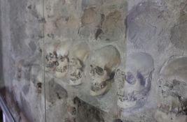 Analiza pokazala kako su izgledali učesnici Bitke na Čegru