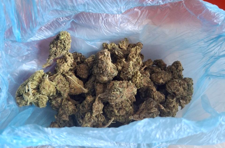 FOTO: Policija pretresla prodavnicu slatkiša u Obrenovcu i pronašla kanabis