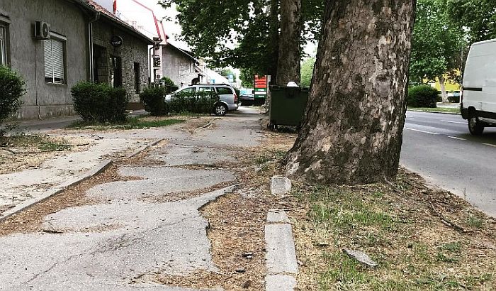 Rekonstrukcija biciklističkih staza u Futoškoj i na Futoškom putu u dve faze, čeka se novac