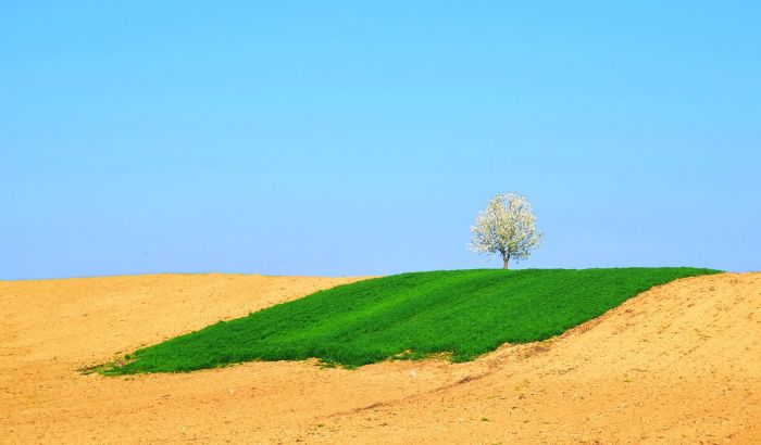 Ko je rekao Vojvodina?!