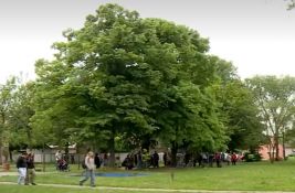Meštani i aktivisti odbranili park u Odžacima: Seča zaštićenih stabala odložena