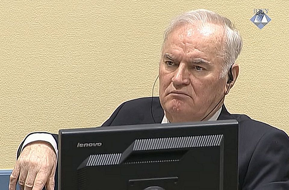 Ministar Vujić predao garancije u Hagu: Zatraženo puštanje Mladića zbog zdravstvenog stanja