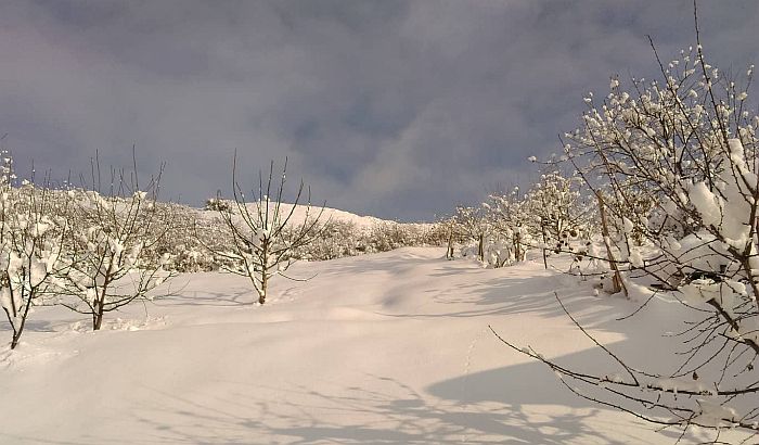 Danas planinarska akcija "Novogodišnje čarolije na Fruškoj gori"