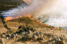 Naučnici upozoravaju na paradoks: Uspešno gašenje požara doprinosi nagomilavanju zapaljivog materijala